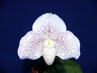 h201128 0011.jpg